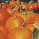 pumpkins featured
