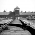 holocaust memorial day featured