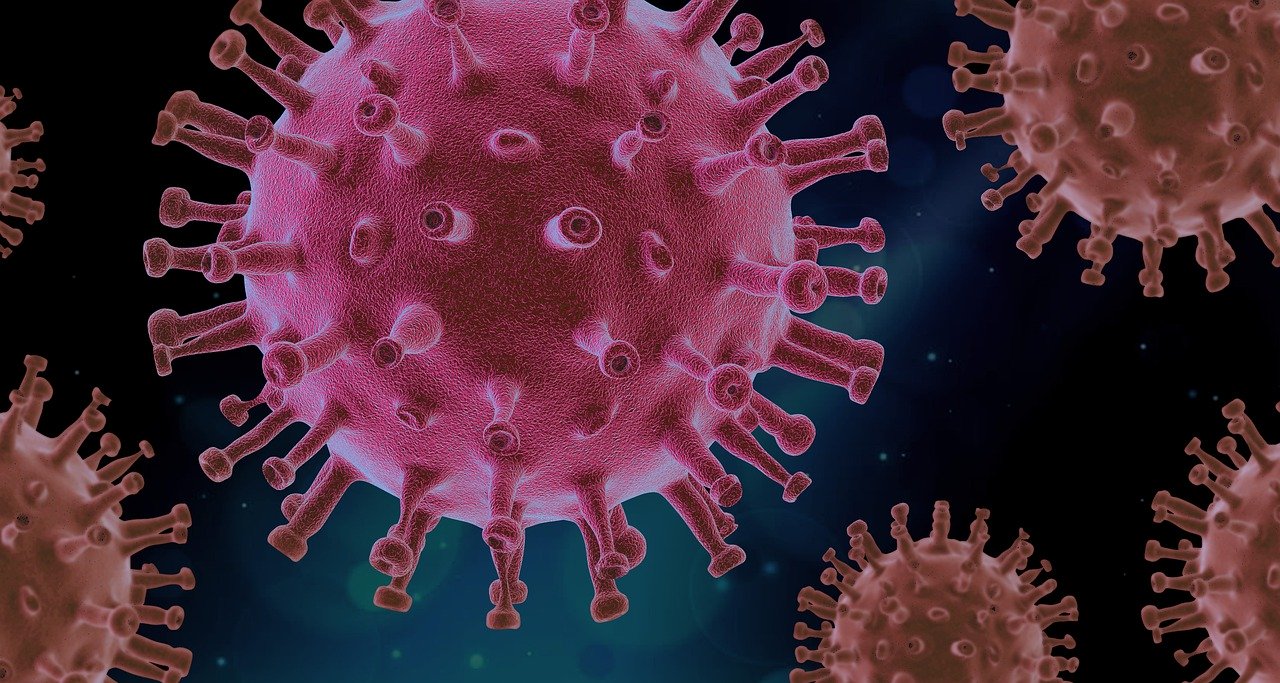 COVID-19, coronavirus, virus, pandemic