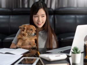 Pretty asian woman working remotely from home using laptop sitting on the couch or sofa in living room for work online with pet puppy cute dog and guardian, work life balance concept