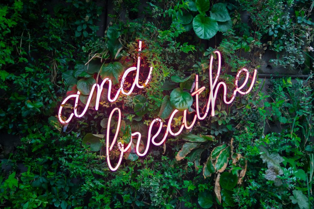 and breathe neon sign, wellness
