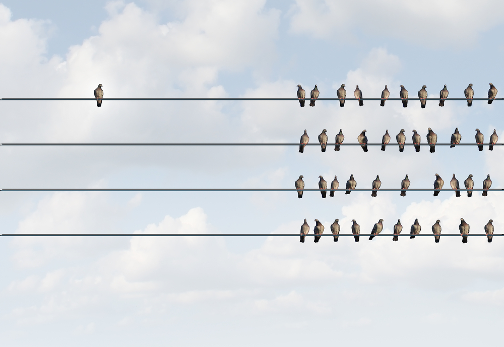 a group of pigeon birds on a wire with one individual in the opposite direction, discrimination
