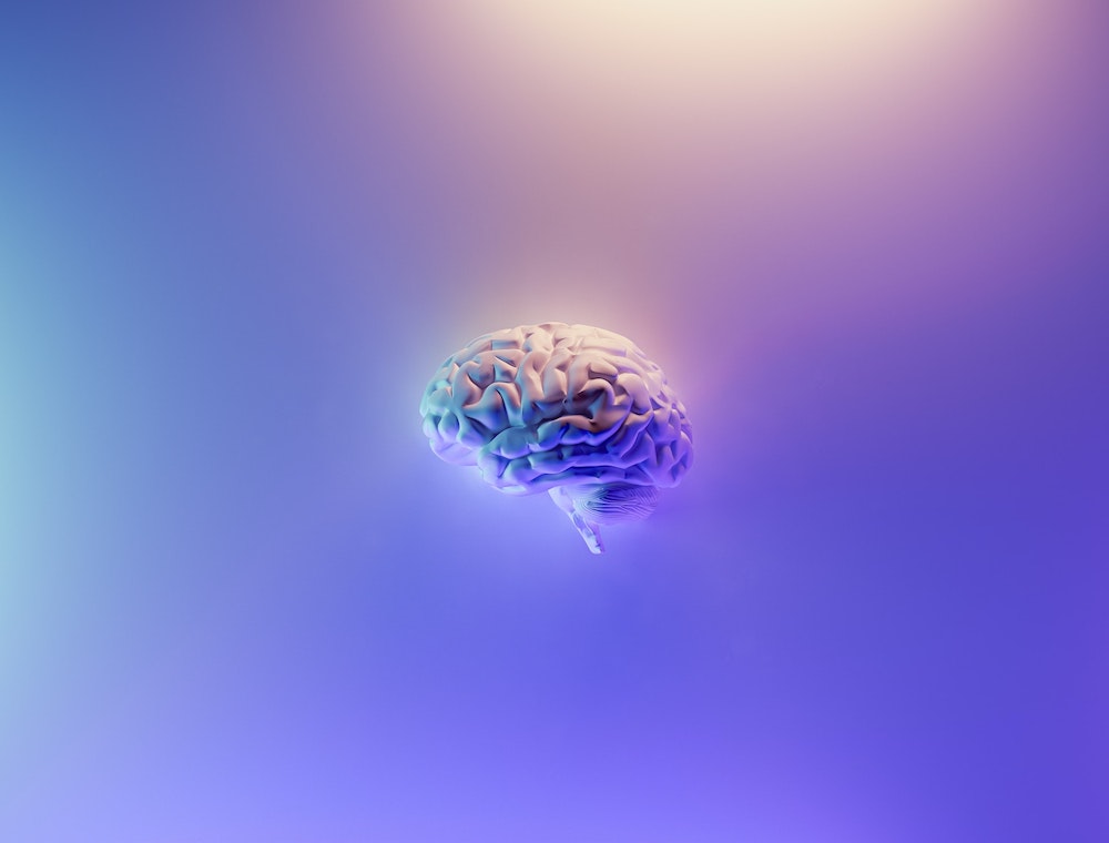 purple brain, neurodiversity, neurodiverse
