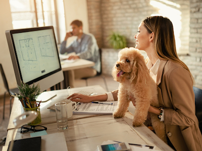 Young happy businesswoman working on a computer while being with her dog in the office.