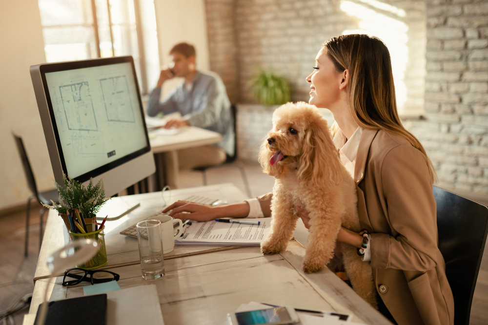 Flexible working, Young happy businesswoman working on a computer while being with her dog in the office.