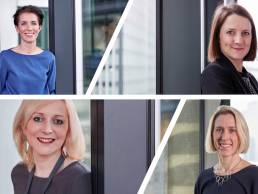 IWD - Stewarts Law