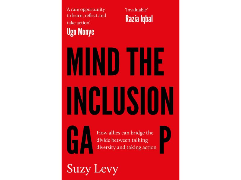 Mind the Inclusion Gap Suzy Levy