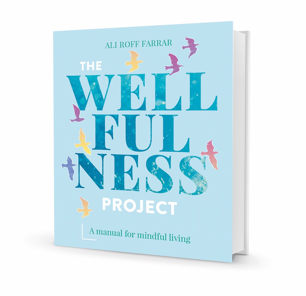 book cover Wellfulness Project