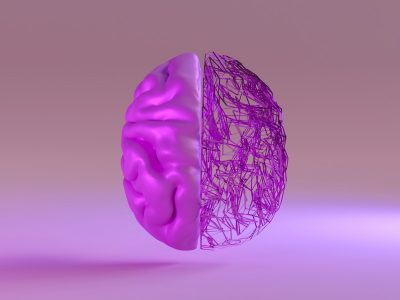 Neurodiversity, rendered image of purple brain