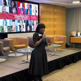 Themis20 Celebration Event photo