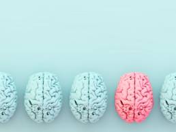 Brain neurodiverse